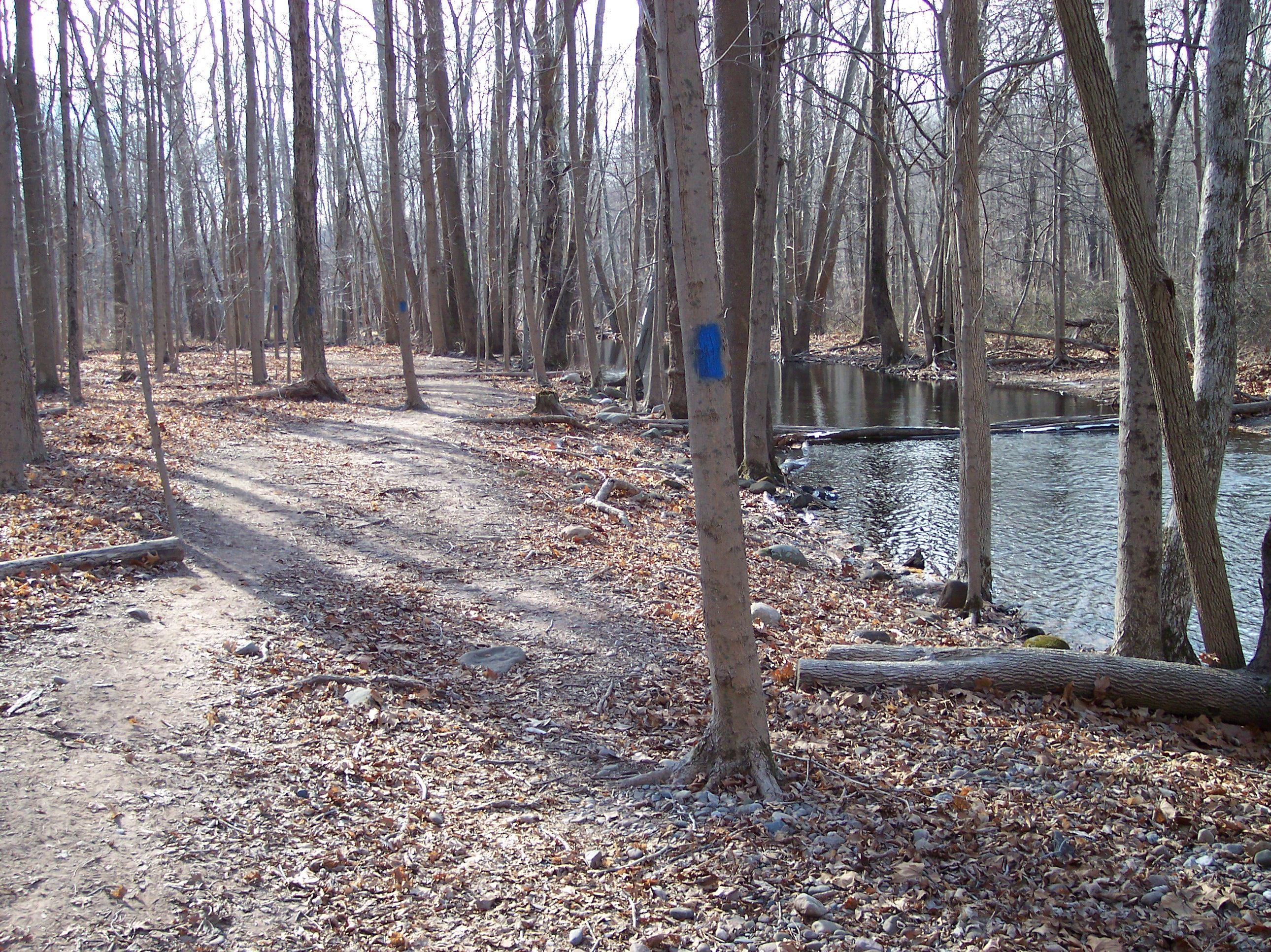 Bishop Estate West river by