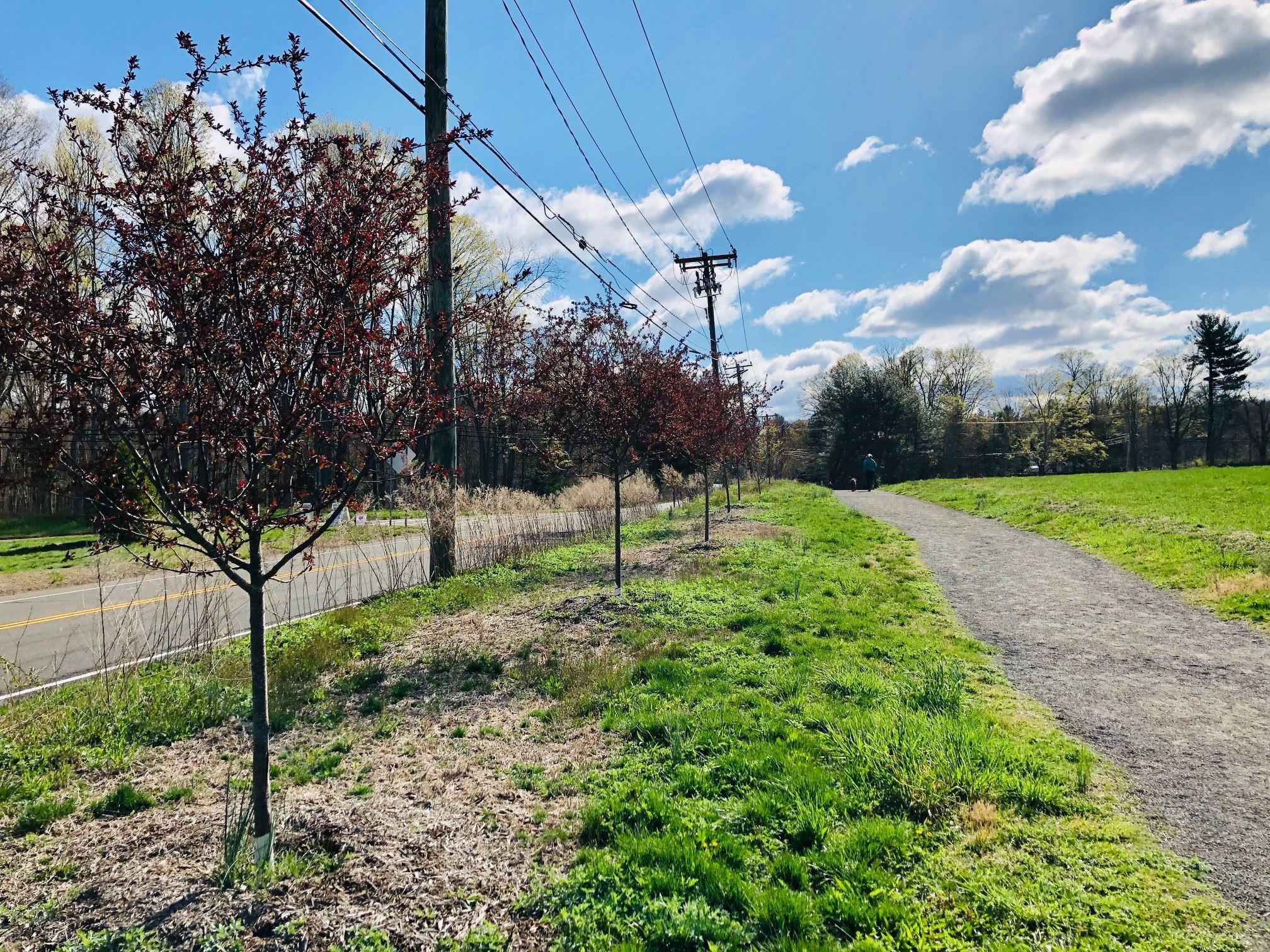 Fitzgerald crabapple trees April 2021