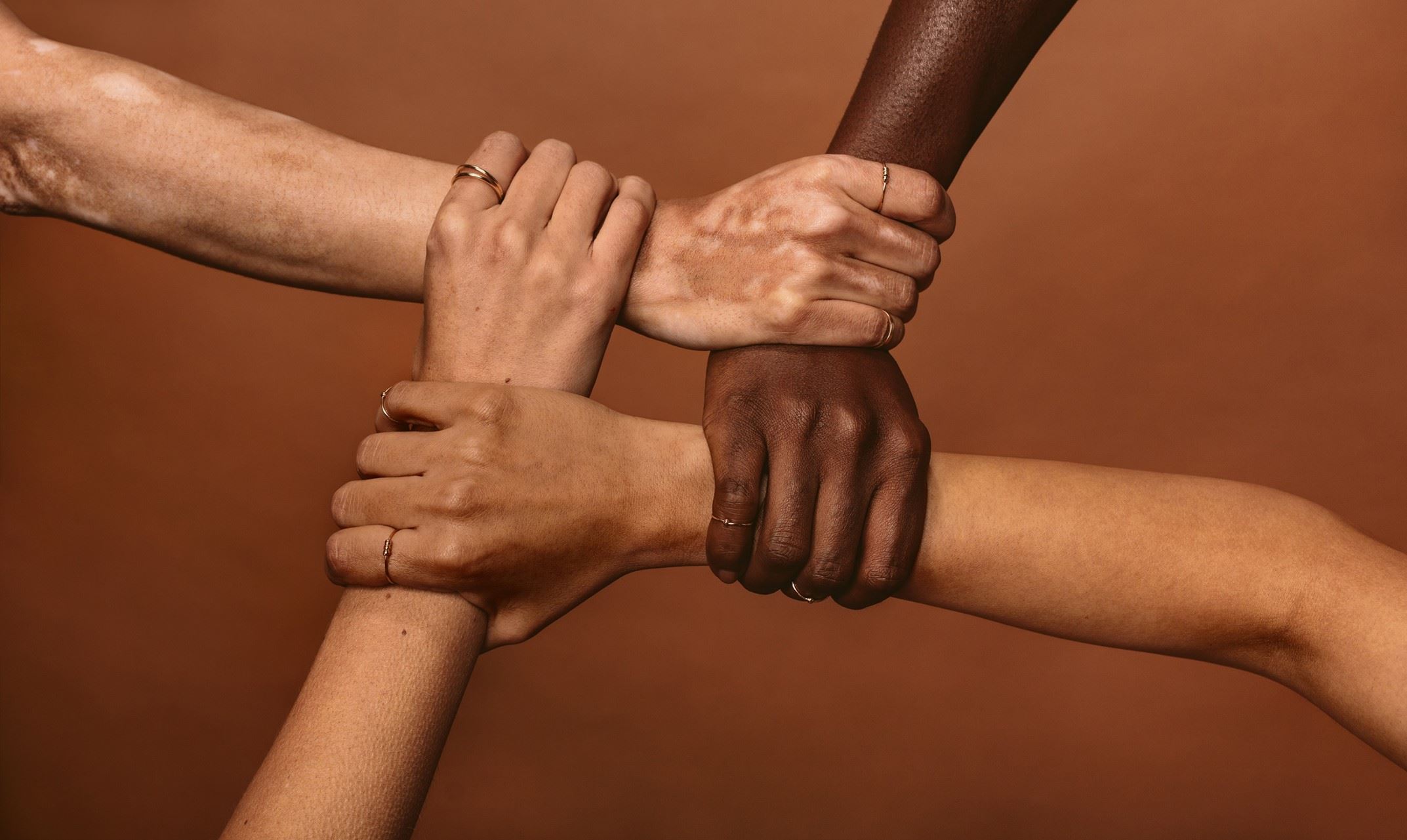diversity hands