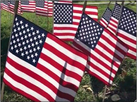 Veterans Day Photo Flags