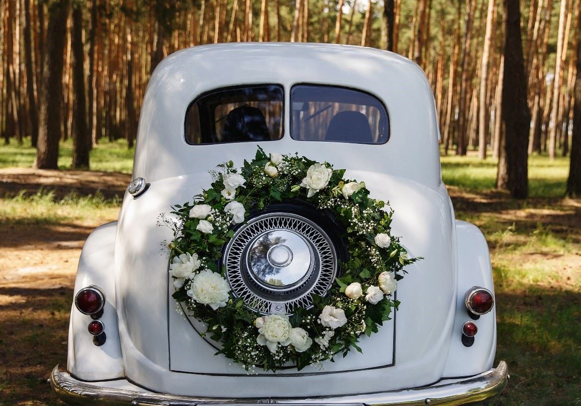 motor vehicle picture